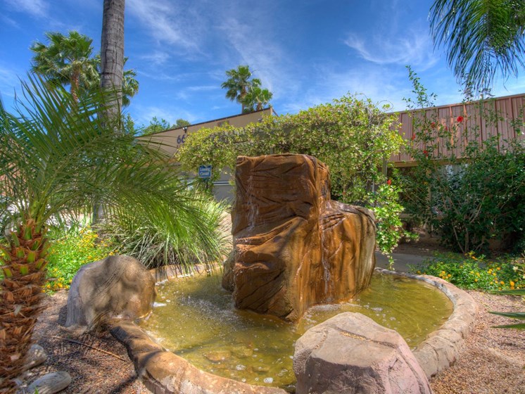 Landscaping at Copper Creek in Tucson, AZ